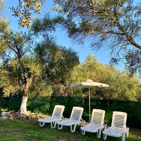 Endless Green: Feel Free And Cozy In Nature Perivólion Exterior photo