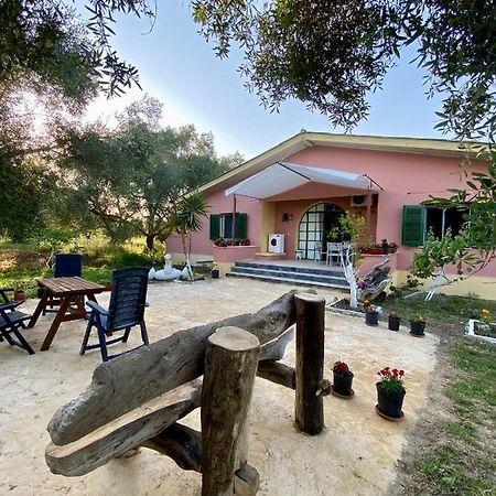 Endless Green: Feel Free And Cozy In Nature Perivólion Exterior photo