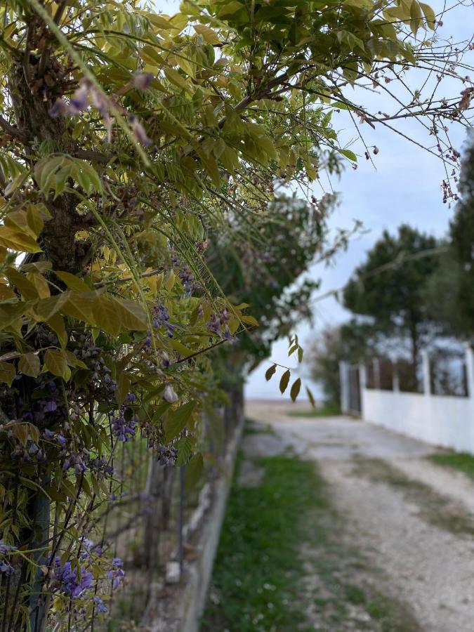 Endless Green: Feel Free And Cozy In Nature Perivólion Exterior photo