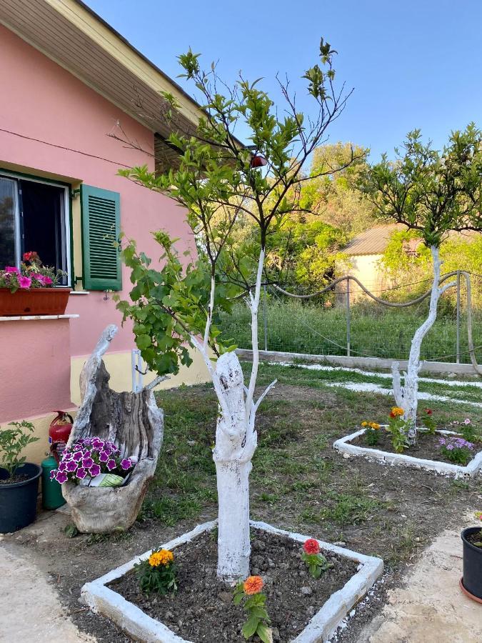 Endless Green: Feel Free And Cozy In Nature Perivólion Exterior photo